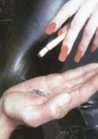 失调甜(姐弟骨,高H)